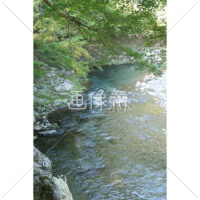 澄んだ小川の写真素材