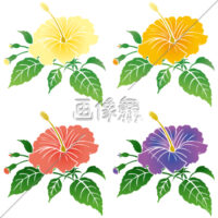 4色のハイビスカスのイラスト素材(1)