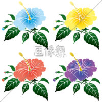 4色のハイビスカスのイラスト素材(2)