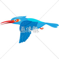 カワセミのイラスト(1)