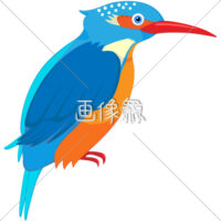 カワセミのイラスト(2)