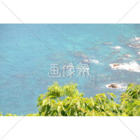 晴天の海辺の写真素材(21)