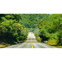 見通しの良い田舎の道路の無料写真素材