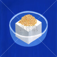 冷奴の絵を描いたイラスト