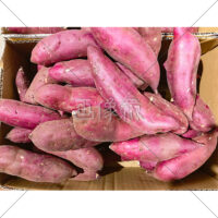 箱いっぱいのさつまいもの無料写真素材