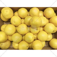 箱いっぱいのグレープフルーツの無料写真素材