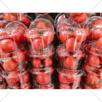 カップに入ったトマトの無料写真素材