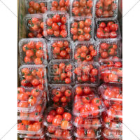 パックに入ったミニトマトの無料写真素材