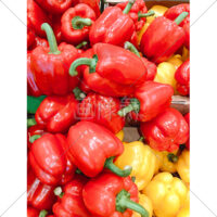 箱いっぱいのパプリカの無料写真素材