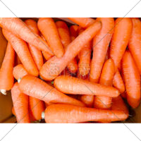 箱いっぱいのにんじんの無料写真素材