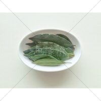 スパイス(ホール)ローリエの写真素材