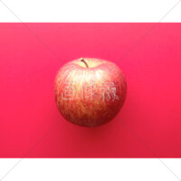 美味しそうな赤リンゴ1個の写真素材(1)