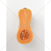 バターナッツかぼちゃの写真素材(4)