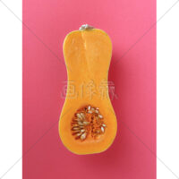 バターナッツかぼちゃの写真素材(5)