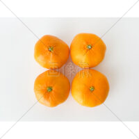 ビタミンいっぱいのみかんの写真素材(1)