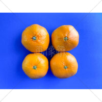 ビタミンいっぱいのみかんの写真素材(3)