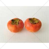 とっても甘い富有柿の写真素材(1)