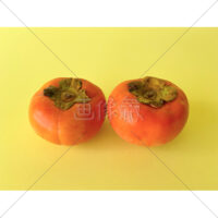 とっても甘い富有柿の写真素材(2)