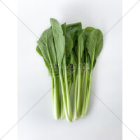 栄養たっぷりの小松菜の写真素材(1)