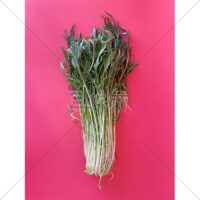 新鮮なシャキシャキ水菜の写真素材(2)