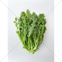 菊菜とも呼ばれる春菊の写真素材(1)