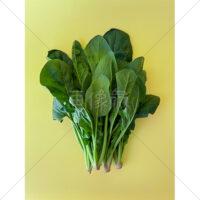 ミネラルたっぷりのほうれん草の写真素材(2)