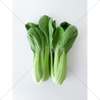 中国野菜のチンゲン菜の写真素材(1)