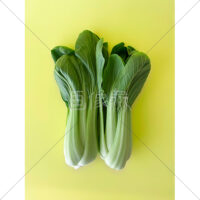 中国野菜のチンゲン菜の写真素材(2)