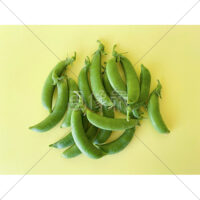 食感が楽しいスナップエンドウの写真素材　(2)