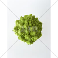 世界一美しい野菜ロマネスコの写真素材(1)