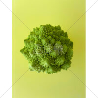 世界一美しい野菜ロマネスコの写真素材(3)