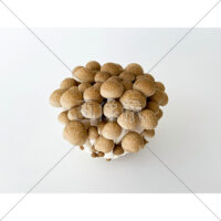 低カロリーで高栄養のぶなしめじの写真素材　(3)