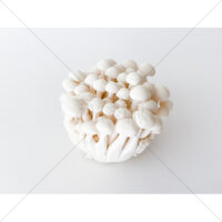 低カロリーで高栄養のぶなしめじの写真素材　(4)