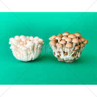 低カロリーで高栄養のぶなしめじの写真素材　(5)