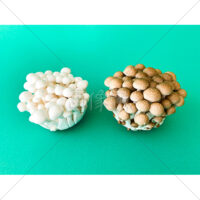 低カロリーで高栄養のぶなしめじの写真素材　(6)