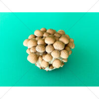 低カロリーで高栄養のぶなしめじの写真素材　(7)