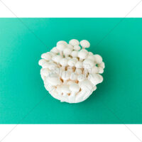 低カロリーで高栄養のぶなしめじの写真素材　(8)
