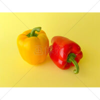 ビタミンカラーで元気が出るパプリカの写真素材(2)
