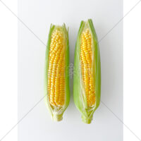 甘くて美味しいとうもろこしの写真素材(1)