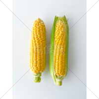 甘くて美味しいとうもろこしの写真素材(2)