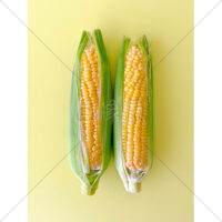 甘くて美味しいとうもろこしの写真素材(3)