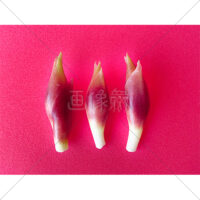 夏の香味野菜みょうがの写真素材(5)