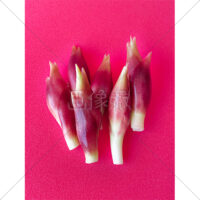 夏の香味野菜みょうがの写真素材(6)