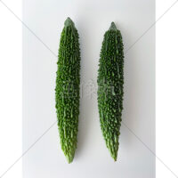 苦くて美味しいゴーヤの写真素材の写真素材(1)