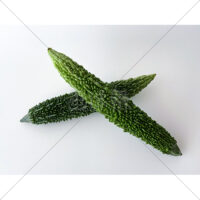 苦くて美味しいゴーヤの写真素材の写真素材(3)