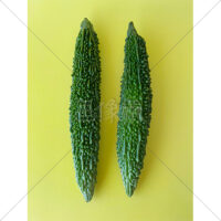 苦くて美味しいゴーヤの写真素材の写真素材(4)
