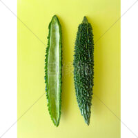 苦くて美味しいゴーヤの写真素材の写真素材(5)
