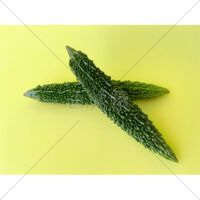 苦くて美味しいゴーヤの写真素材の写真素材(6)