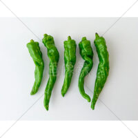 京野菜の万願寺とうがらしの写真素材(1)