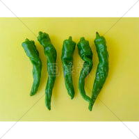 京野菜の万願寺とうがらしの写真素材(2)